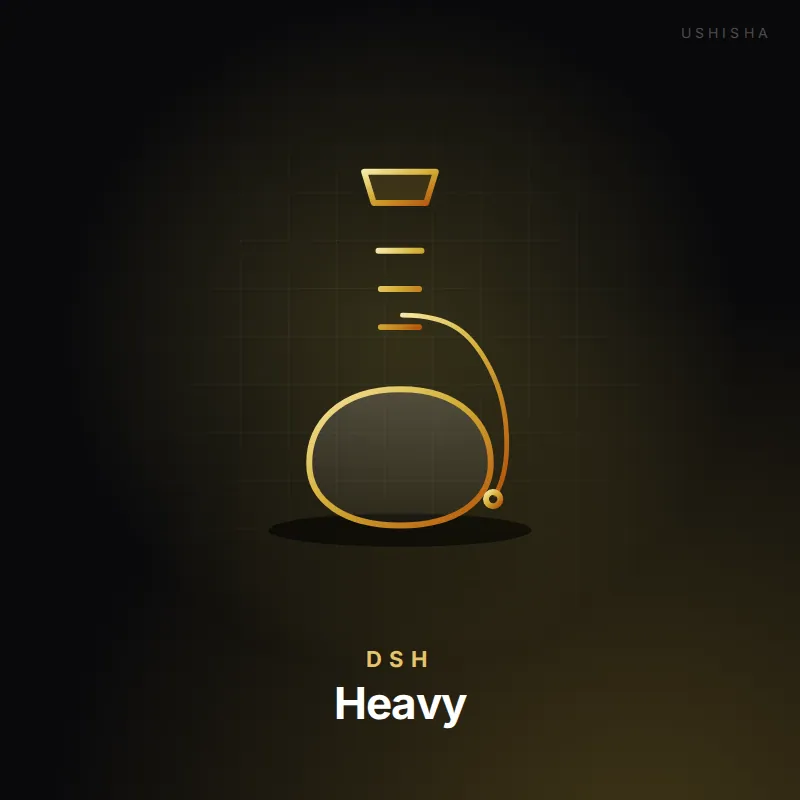 DSH Heavy